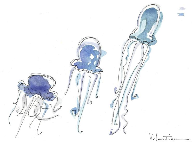 15025577_1781615735445614_1343824840805727510_o