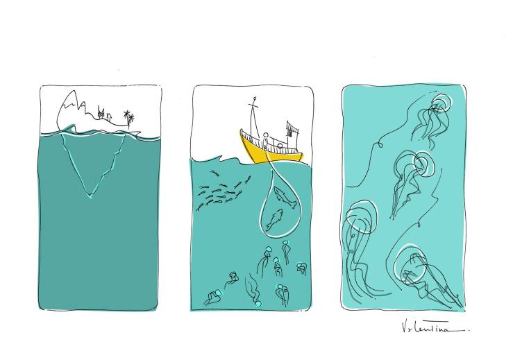 15065082_10211165108149240_1416959708_o